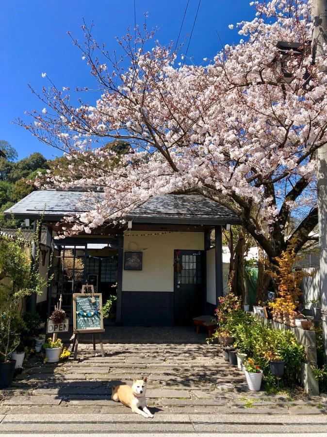Yasuragi Guest House & Bar Hita Exterior foto